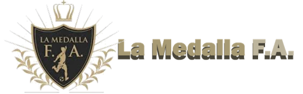Client 3 - LAMEDALLAFA.COM